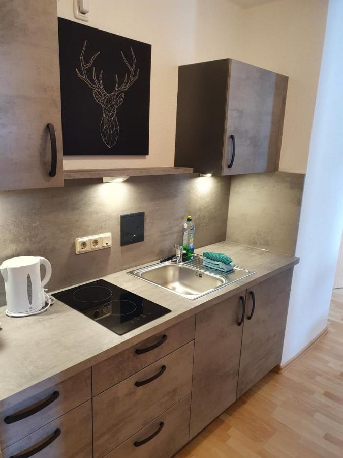 Apartments Und Bistro Zum Glasmacher Gehlberg Ngoại thất bức ảnh
